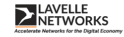 Lavelle Networks