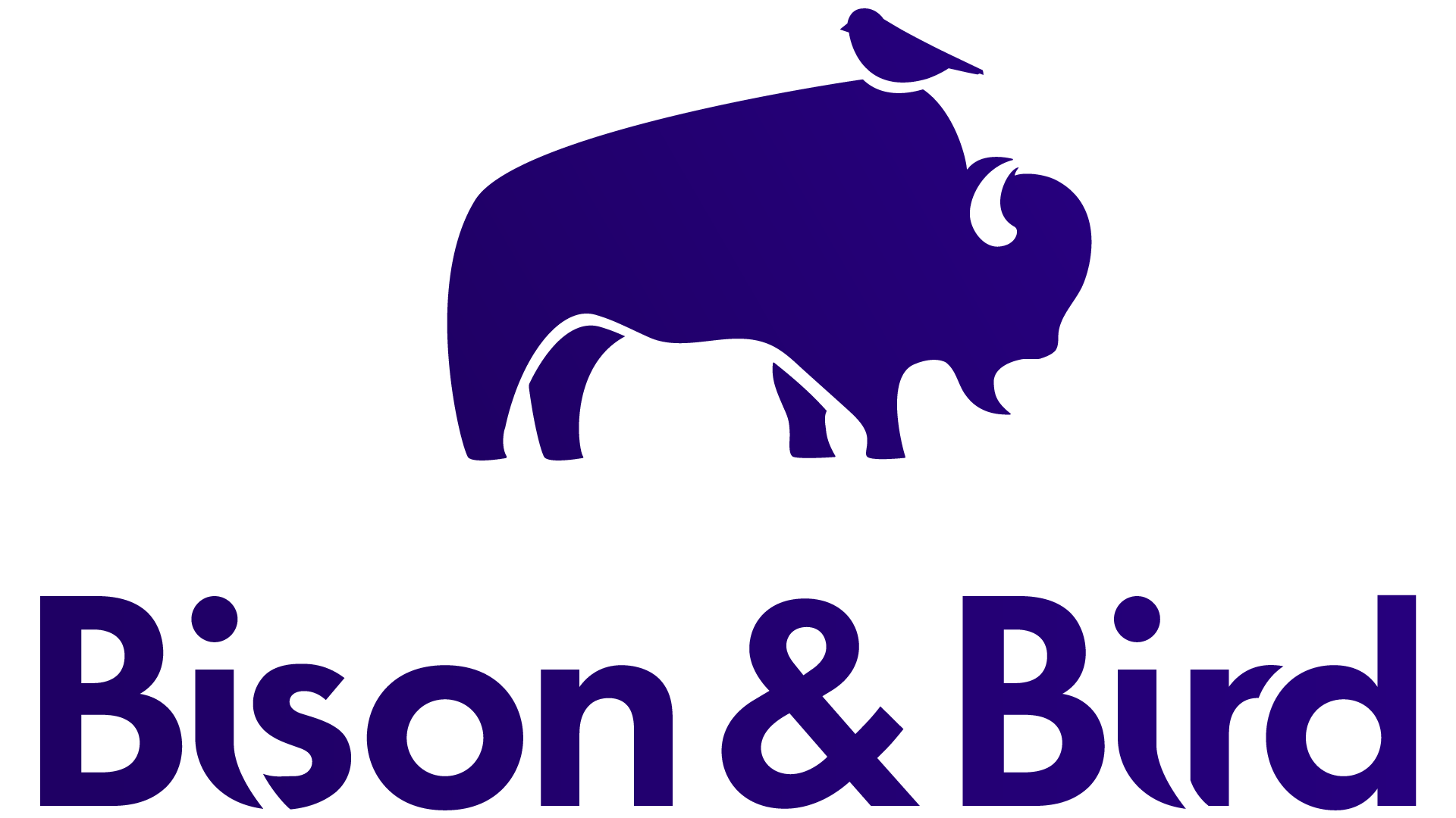 Bison & Bird - logo