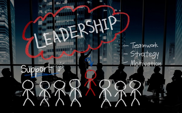 Hybrid Leadership Models